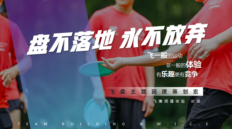 飛盤主題團(tuán)建課程