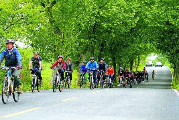 西淝河濕地公園一日騎行團(tuán)建