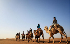 深度旅游拓展-沙漠之旅